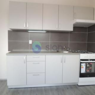 Pronájem bytu 1+1 38 m² Ostrava