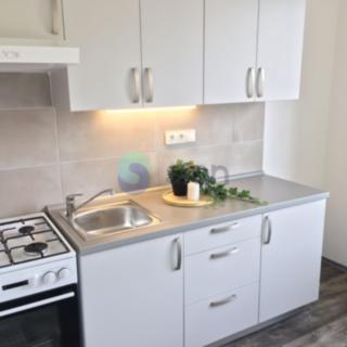 Pronájem bytu 1+1 39 m² Ostrava Muglinov, Fojtská