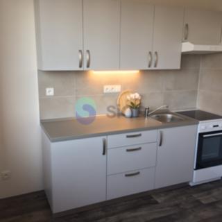 Pronájem bytu 1+1 38 m² Ostrava Moravská, Ahepjukova