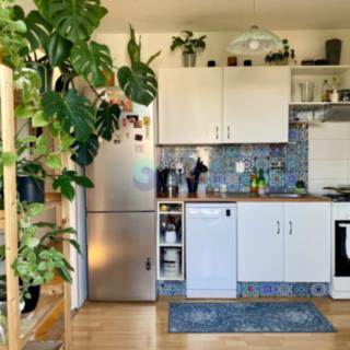 Pronájem bytu 2+1 49 m² Ostrava