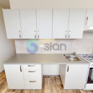Pronájem bytu 1+1 36 m² Ostrava Zábřeh, Výškovická
