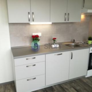 Pronájem bytu 1+1 38 m² Ostrava