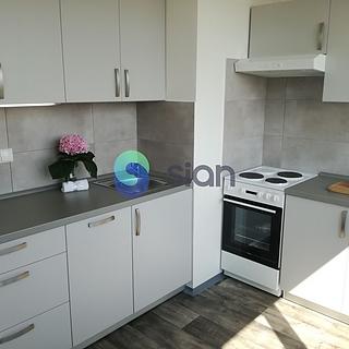 Pronájem bytu 1+1 36 m² Ostrava Hrabůvka, Dr. Martínka