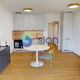 Pronájem bytu 1+kk a garsoniéry 34 m² Ostrava Slezská Ostrava, U Hájenky