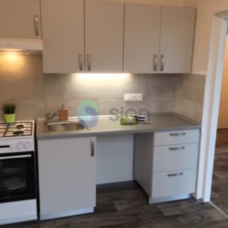 Pronájem bytu 2+1 44 m² Ostrava Bělský Les, Vlasty Vlasákové
