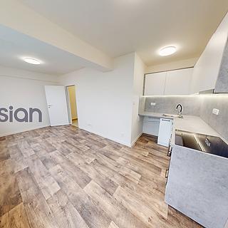 Pronájem bytu 1+kk a garsoniéry 25 m² Frýdek-Místek Místek, Janáčkova