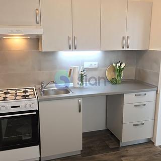 Pronájem bytu 2+1 44 m² Ostrava Dubina, Jaroslava Misky