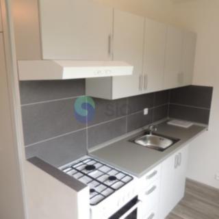 Pronájem bytu 1+1 40 m² Ostrava