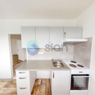 Pronájem bytu 1+1 31 m² Ostrava Výškovice, 29. dubna