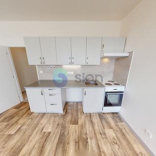 Pronájem bytu 1+kk, garsoniery 32 m² Ostrava