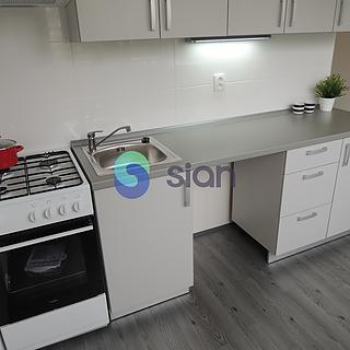 Pronájem bytu 1+1 29 m² Ostrava Moravská Ostrava, Petra Křičky