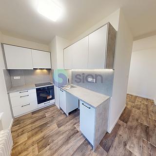 Pronájem bytu 1+1 34 m² Ostrava