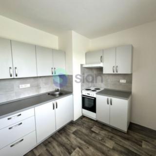 Pronájem bytu 1+1 38 m² Ostrava Zábřeh, Svazácká