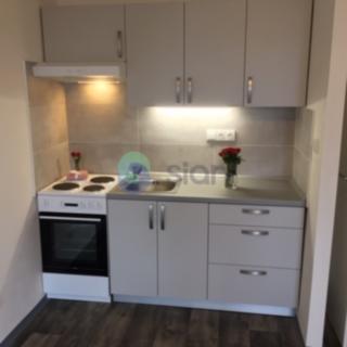 Pronájem bytu 1+kk, garsoniery 26 m² Ostrava