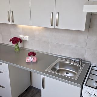 Pronájem bytu 2+1 53 m² Ostrava Hrabůvka, Plzeňská