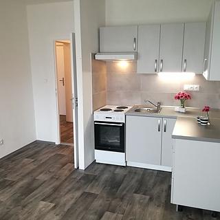 Prodej bytu 1+1 44 m² Ostrava Dubina, Antonína Poledníka