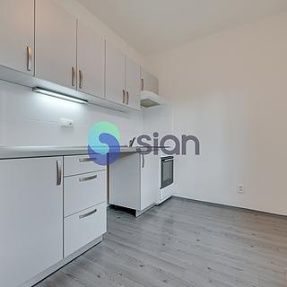 Pronájem bytu 1+1 35 m² Ostrava Zábřeh, Svazácká