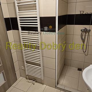 Pronájem bytu 1+kk a garsoniéry 30 m² Opava Předměstí, Hany Kvapilové