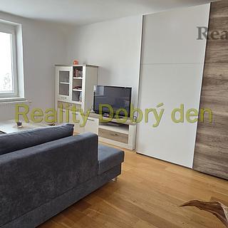Pronájem bytu 1+kk, garsoniery 53 m&sup2; Opava
