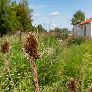 Prodej zahrady 1 202 m² Břeclav
