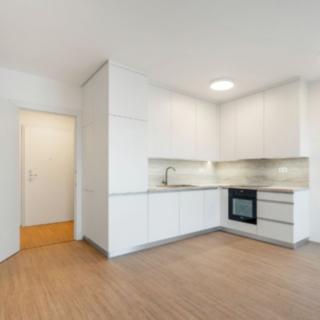 Pronájem bytu 1+kk a garsoniéry 31 m² Slavkov u Brna, Slovanská
