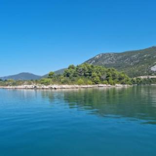 Prodej stavební parcely, 21677m²