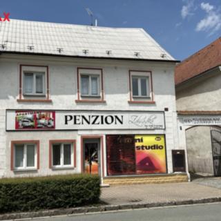 Prodej hotelu a penzionu 225 m² Lázně Bohdaneč, Langrova