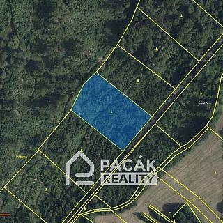 Prodej lesa 41845 m&sup2; Dolany