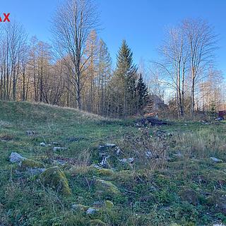 Prodej ostatního pozemku 6 645 m² Bílý Potok