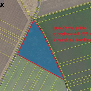 Prodej zemědělské půdy 40 299 m² Kněžice