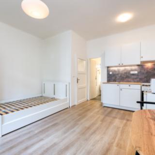 Pronájem bytu 1+kk a garsoniéry 27 m² Praha Libeň, Kandertova