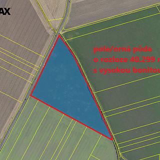 Prodej zemědělské půdy 40 299 m² Kněžice