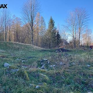 Prodej ostatního pozemku 6 645 m² Bílý Potok