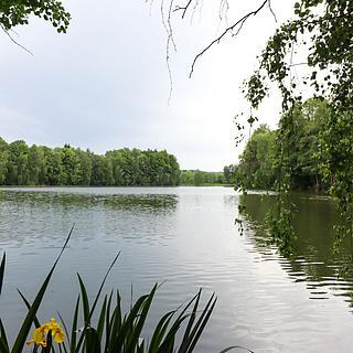 Prodej vodní plochy 190028 m&sup2; Čejov