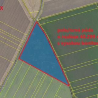 Prodej zemědělské půdy 40 299 m² Kněžice