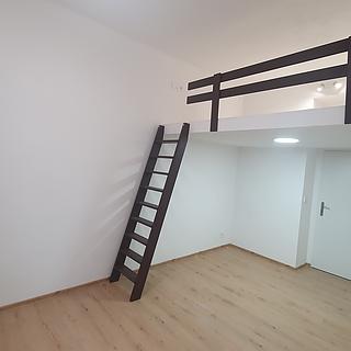 Pronájem bytu 2+1 57 m² Praha Žižkov, Hartigova
