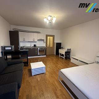 Pronájem bytu 1+kk a garsoniéry 36 m² Lysá nad Labem, Vichrova