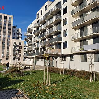 Pronájem bytu 1+kk, garsoniery 42 m² Brno