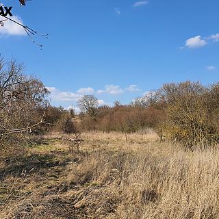 Prodej zahrady 9 203 m² Němčany