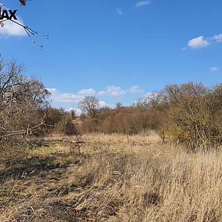 Prodej zahrady 9203 m&sup2; Němčany