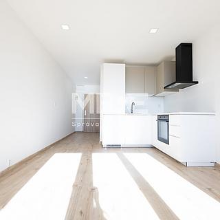 Pronájem bytu 1+kk, garsoniery 30 m² Karviná