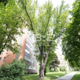 Pronájem bytu 3+1 71 m² Orlová