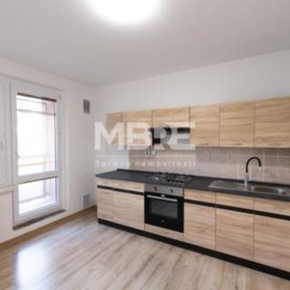 Pronájem bytu 2+1 44 m² Bohumín Nový, Svat. Čecha