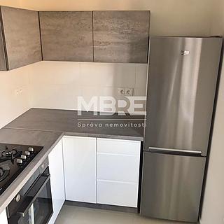 Pronájem bytu 1+1 43 m² Karviná