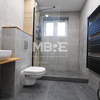 Pronájem bytu 2+kk 46 m² Ostrava Mariánské Hory