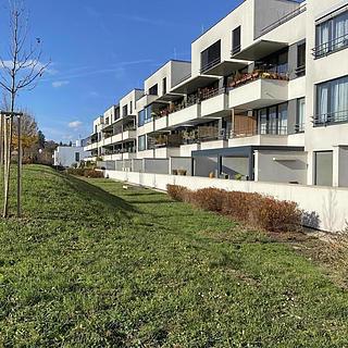 Pronájem bytu 1+kk, garsoniery 50 m² Brno