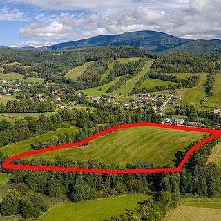 Prodej louky 59 869 m² Velké Losiny, Zadní