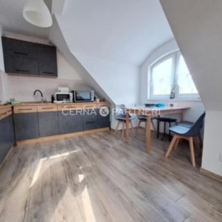 Pronájem bytu 2+kk 55 m² Ústí nad Labem Střekov, Varšavská