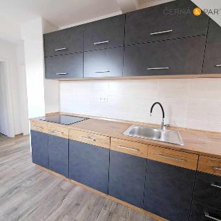 Pronájem bytu 1+1 50 m² Ústí nad Labem Střekov, Varšavská