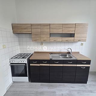 Pronájem bytu 1+1 37 m² Novosedlice, Vodní